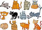 cartoon illustration of funny twelve cats set