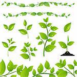 Set Of Green Leaves And Sprouts, Isolated On White Background, Vector Illustration