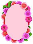 Floral ellipse frame with pink flowers. Nature art ornament template for your design. Isolated on white background. Close-up. Studio photography.