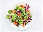 vegetables salad on a plate closeup