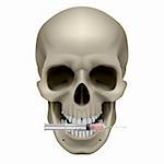 Realistic skull with a cigarette. Illustration on white background