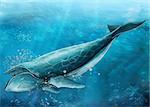 Very realistic drawn whale