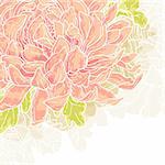 Abstract romantic vector background with chrysanthemum.