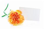 Gold carnation and blank gift card for text