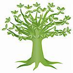 Green Eco Tree with Green Leaves Illustration Isolated on White Background