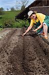 Photo of a retired woman in her sixties planting seeds in her garden.