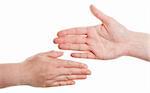 Female hands isolated on white background