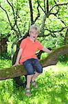 Happy young boy sitting on a branch of a tree