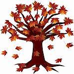 Autumn Maple Tree  in Fall Season Illustration Isolated on White Background