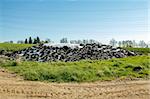 silage by farmers using old tires as a burden against blue sky