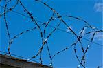 Barbed wire above the wall on blue sky background