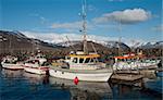 Commercial fishing boats gather in a small harbor on the western coast of Iceland.