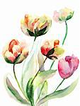 Decorative watercolor flowers