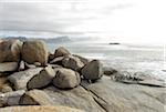 Pingouins, plage de rochers, péninsule du Cap, Cap-occidental, Province du Cap, Afrique du Sud