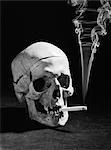 1990s HUMAN SKULL SMOKING A CIGARETTE