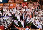 Fresh fish for sale, Galata bridge fish market, Istanbul, Turkey