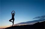 Young woman in tree pose in desert, silhouette