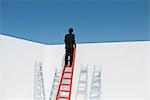 Businessman climbing ladder, rear view