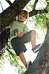 Boy standing in tree, low angle view