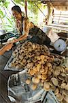 Vendeuse de sucre de palme Roadside stand, Sukhothai, Thaïlande