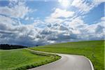 Road through Meadow, Achberg, Baden-Wurttemberg, Germany