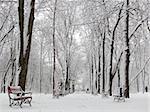 Red benches in a park covered with snow