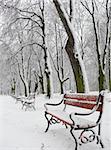 Red benches in a park covered with snow