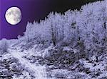 Large moon shining over a hill in winter.