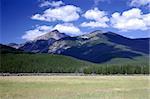 Field and mountains in Rocky Mountain National Park, Colorado, U.S.A.