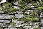 Drystone wall detail, Peak District National Park, Derbyshire, England, UK, taken in January 2006