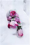 flowers in the snow