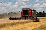 Combine harvests wheat on a field in sunny summer day