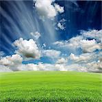 blue cloudy sky with green grass in the meadow in summer