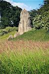 overgrown ruins of berkhamsted castle in hertfordshire england, built by the normans in the motte and bailey style