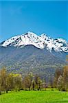 Landscape Park in the Foothills of Italian Alps, Piedmont