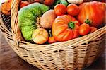 Freshly harvested summer vegetables in large basket with garden scissors. Pumpkin, large tomatoes, cherry tomatoes, onion, cucumber, garlic and potato