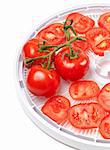 Fresh tomato on food dehydrator tray. Isolated on white background.