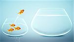 goldfish  jumping to Big bowl, Good Concept for new life, Big Opprtunity, Ambition and challenge concept.