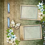 Two frames on vintage background  with flowers, butterfly