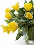 Yellow tulips bouquet on a white background. Shot with natural light.