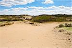 Dunes on the Shore of the North Sea, Netherlands