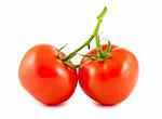 Two tomatoes on the branch isolated over white background