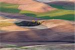 View of the wheat fields at planting time in the Palouse region of southeastern Washington State