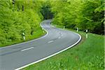 Road Through Forest, Spessart, Bavaria, Germany