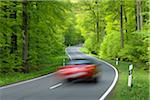 Road Through Forest, Spessart, Bavaria, Germany, Europe