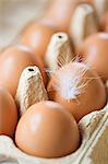 Eggs with a feather in an egg box (close-up)