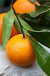 Mandarins with leaves (close-up)