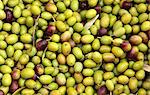 Olives (zoom macro), Perugia, Ombrie, Italie