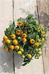 Tomates de vigne jaune