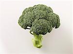 Fresh broccoli